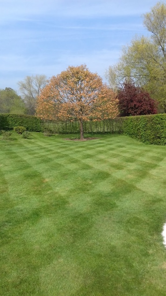 A beautifully maintained lawn with flower beds and a clear blue sky