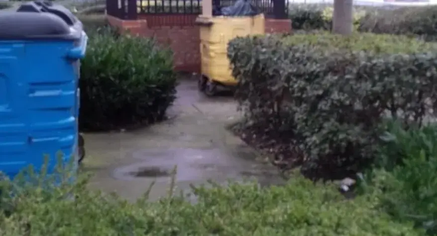 Our team ensures that rubbish and bulk waste are removed promptly and professionally, leaving your estates spotless and hygienic.
