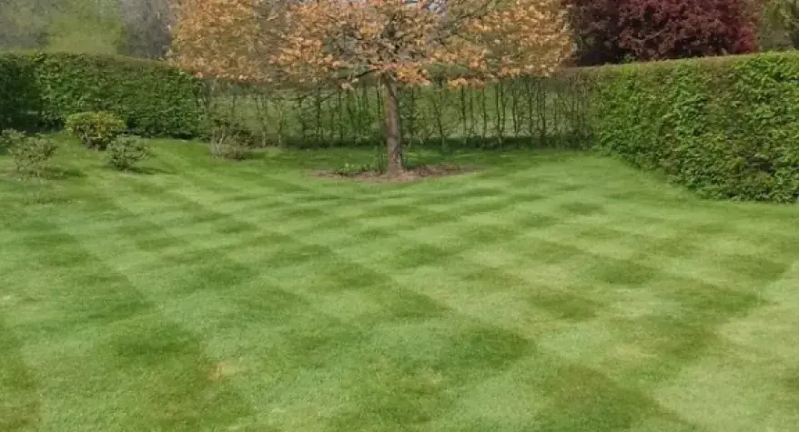 A beautifully maintained lawn with flower beds and a clear blue sky
